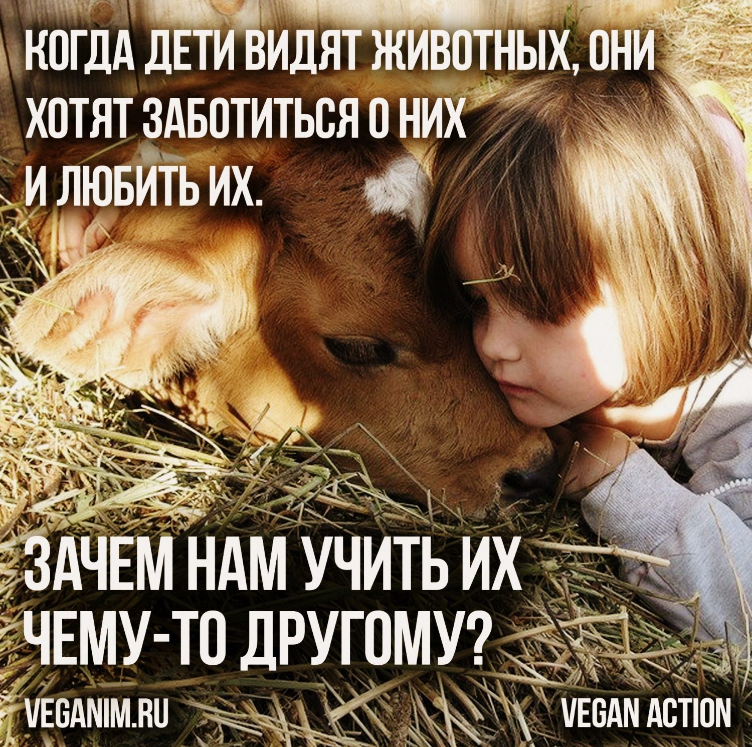 Хочется заботиться. Зачем нам животные. Животные которых не хотят заботиться. Любовь к животным вегетарианство. Зачем любить животных.